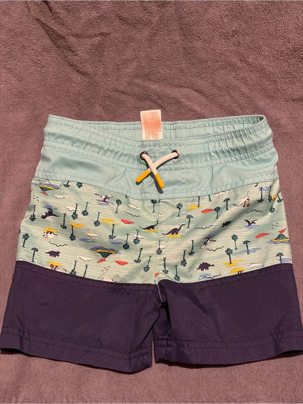 Cat & Jack Light Aqua and Navy Dino Panel Swim Shorts